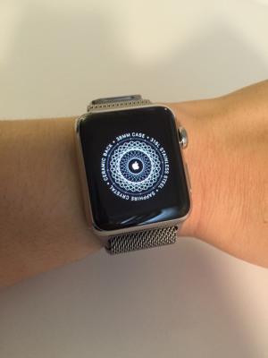 apple watch pairing 08