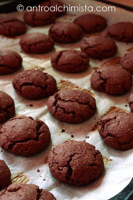 Biscotti al Cioccolato