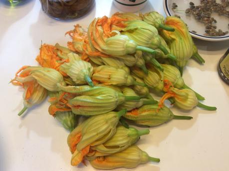 FIORI DI ZUCCHINE FARCITE AL FORNO