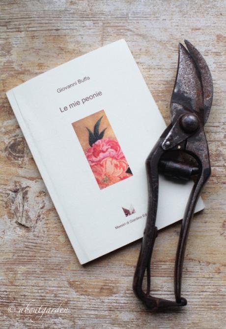 letture verdi per l’estate 2015 – 1 le mie peonie