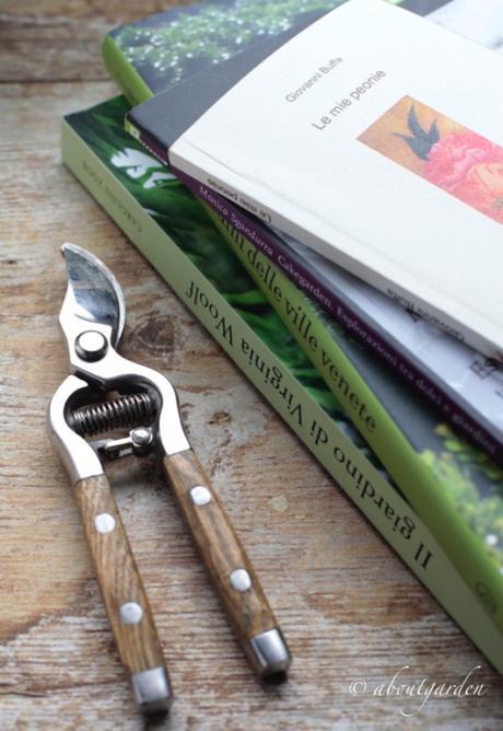 letture verdi per l’estate 2015 – 1 letture estive