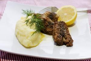 |⇨ Operakallarens Stromming