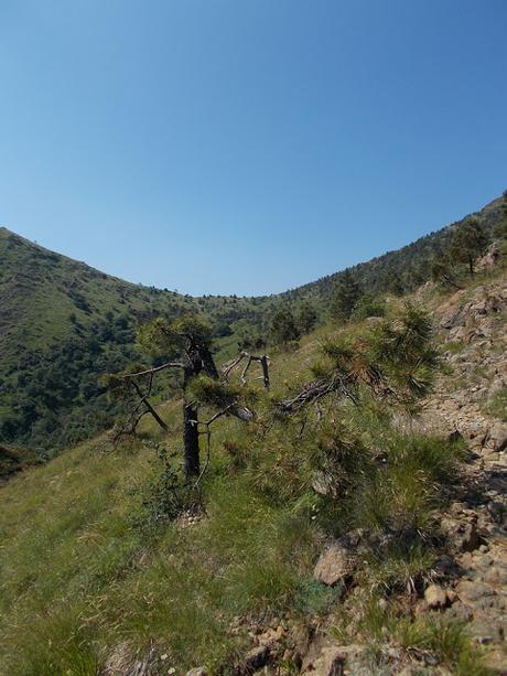 Il Tobbio dagli Eremiti