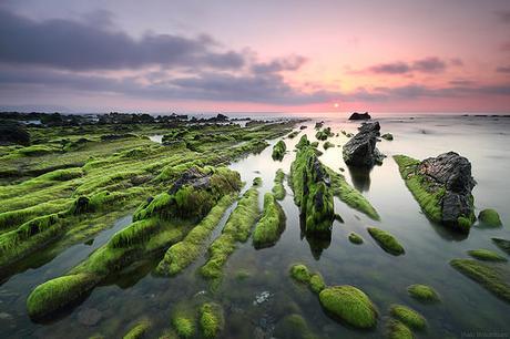 GREEN CHAOS by Obikani, on Flickr GREEN CHAOS by Obikani, on Flickr