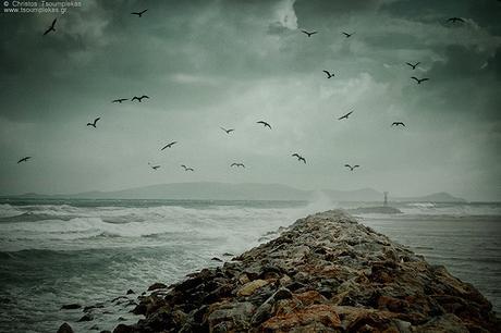 Missing them... by Christos Tsoumplekas (Back again!), on Flickr Missing them... by Christos Tsoumplekas (Back again!), on Flickr