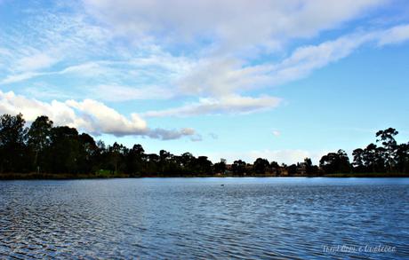 Quel che resta del viaggio – guida rapida su Melbourne e Victoria