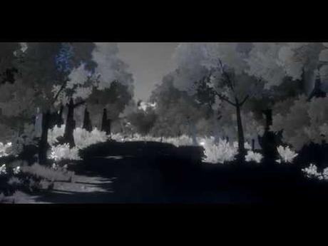 Immagine anteprima YouTube