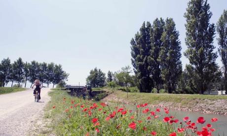 Lungo i canali in laguna (Medium)