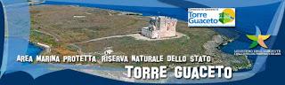 TORRE GUACETO (br). Al Centro Velico di Torre Guaceto riuniti i migliori windsurfer italiani