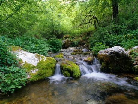 parco abruzzo e molise