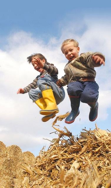 Fotografare i bambini sui campi di grano