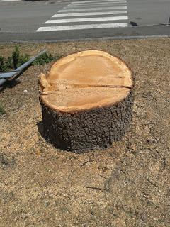 Sega Pazza e Agro Nomo