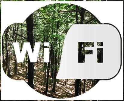 Il wi-fi sta uccidendo gli alberi: lo dimostra un recente studio