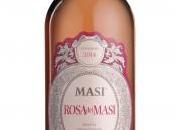 vente-privee vino Rosa Masi