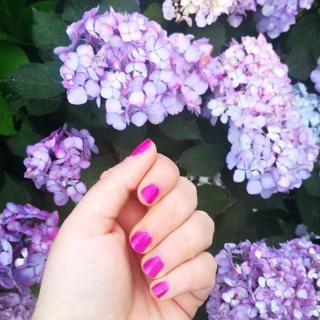 Cose che ho comprato e cose che nessun altro vi direbbe