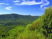 Aperitivi bosco degli Astroni ogni venerdì Luglio 2015