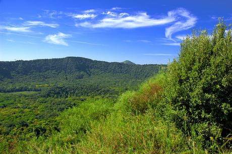 Aperitivi nel bosco degli Astroni ogni venerdì di Luglio 2015
