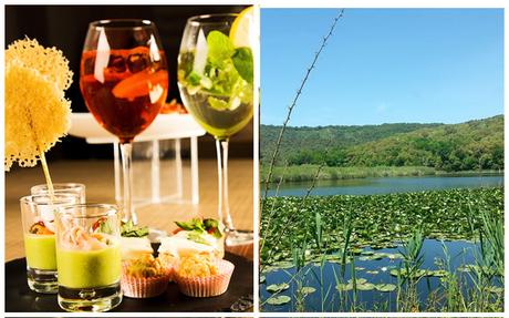 Aperitivi nel bosco degli Astroni ogni venerdì di Luglio 2015