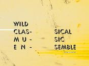 WILD CLASSICAL MUSIC ENSEMBLE, Tapping Clapping