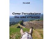 Recensione “Come l’arcobaleno criniera” Paola Iotti