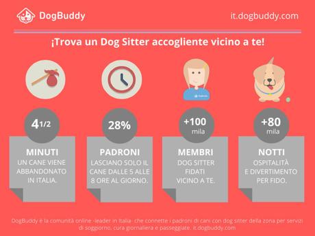 In vacanza con Fido: il comportamento degli italiani in un’inchiesta di DogBuddy