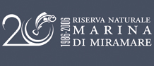 Riserva marina di Miramare (TS)...