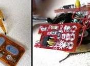 Trasforma anche scarafaggio cyborg