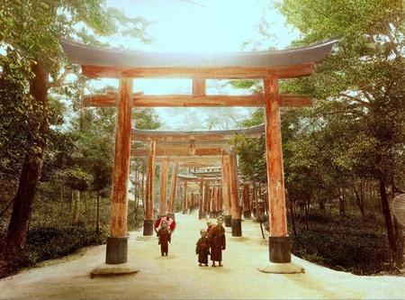 enami_kids_under_torii_gates