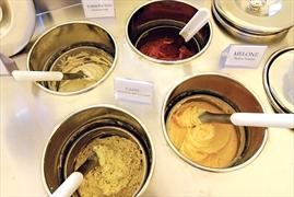 L'azienda del gelato piu' buono del mondo