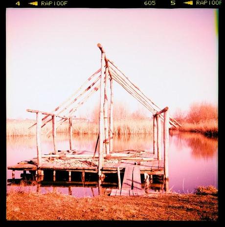 LOMOGRAPHY • all'agriturismo con Ferrania Eura + Fujichrome ASTIA 100F scaduta + cross-processing