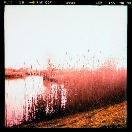 LOMOGRAPHY • all'agriturismo con Ferrania Eura + Fujichrome ASTIA 100F scaduta + cross-processing