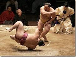 xin_501002120856390214372