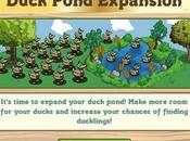 Duck pound FarmVille
