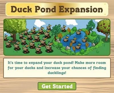 La Duck pound di FarmVille