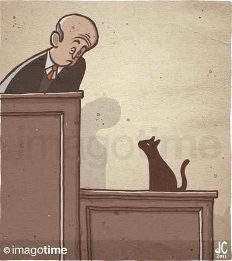 Il gatto giurista