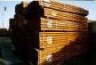 Russia taglia dazi legname esportato Europa