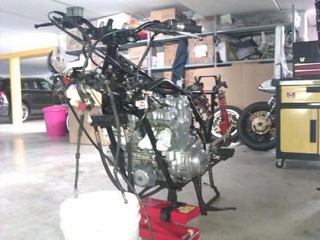 Miss Rough ultimate works