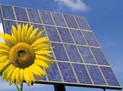 Nucleare, Petrolio, Carbone, Solare, Eolico...