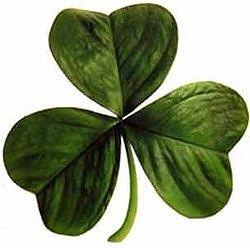 [ricette] Saint Patrick's Day