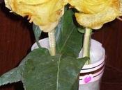 rose patate (bellissime!)