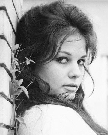 Cardinale