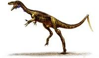 Scoperto Eodromaeus, il più primitivo antenato del Tirannosauro