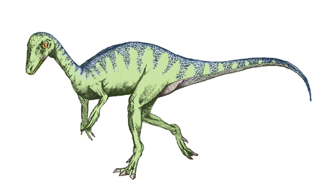 Scoperto Eodromaeus, il più primitivo antenato del Tirannosauro