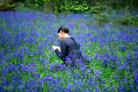 Improvvisamente Jane Campion