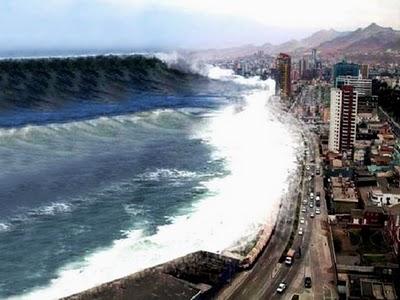 Cane non abbandona l'amico dopo tsunami. Giappone e commozione.