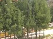 Maddaloni (CE) cava dismessa pronta essere riconvertita (17.03.11)