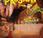 Passione (dvd)