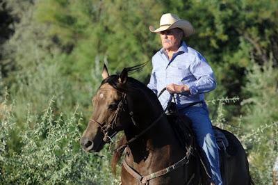 cavalli selvaggi (ma senza McCarthy)