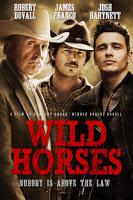 cavalli selvaggi (ma senza McCarthy)