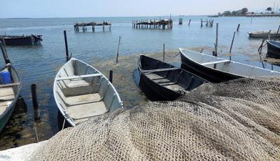 nel blu dipinto di blu di Polignano a Mare